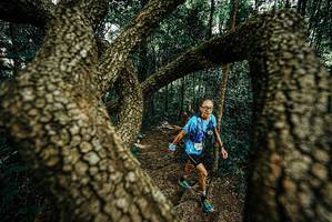 BIB: 
                            <button type="button" onclick="openModal(25669684)" class="btn btn-primary btn-sm float-right btn-popup" data-toggle="modal" data-target=".modal-high-quality">
                        <i class="fas fa-shopping-cart"></i> Add to Cart
                    </button>
                                            <button type="button" onclick="isThisMe(25669684, true)" class="btn btn-success btn-sm float-right btn-popup btn-isme hidden" data-toggle="tooltip" data-placement="bottom" title="นี่คือรูปของคุณใช่ไหม คลิกที่นี่เพื่อเอาเข้าอัลบั้ม">
                        <i class="fas fa-plus"></i> Add to album
                    </button>
                    <button type="button" onclick="isThisMe(25669684, false)" class="btn btn-warning btn-sm float-right btn-popup btn-isnotme hidden">
                        <i class="fas fa-ban"></i> Remove from album
                    </button>